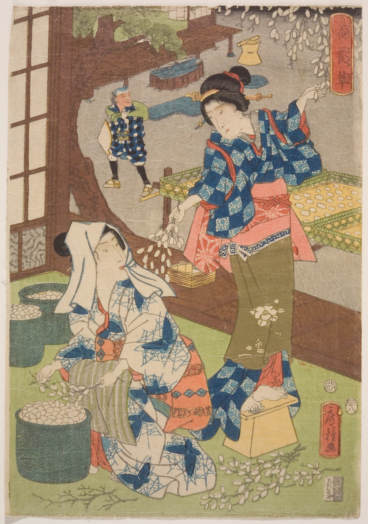Gathering Cocoons
