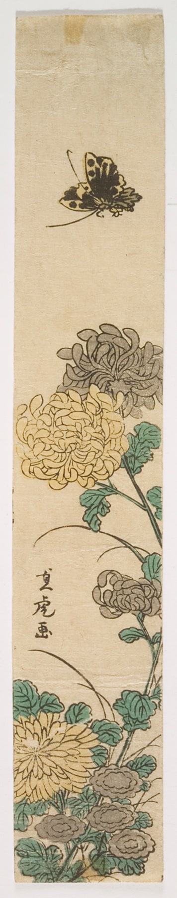 Butterfly and Chrysanthemums