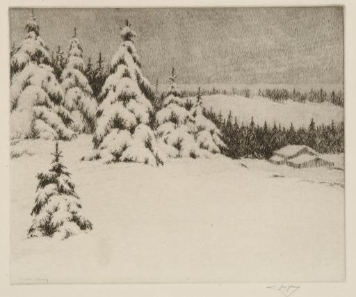 Winter Pines