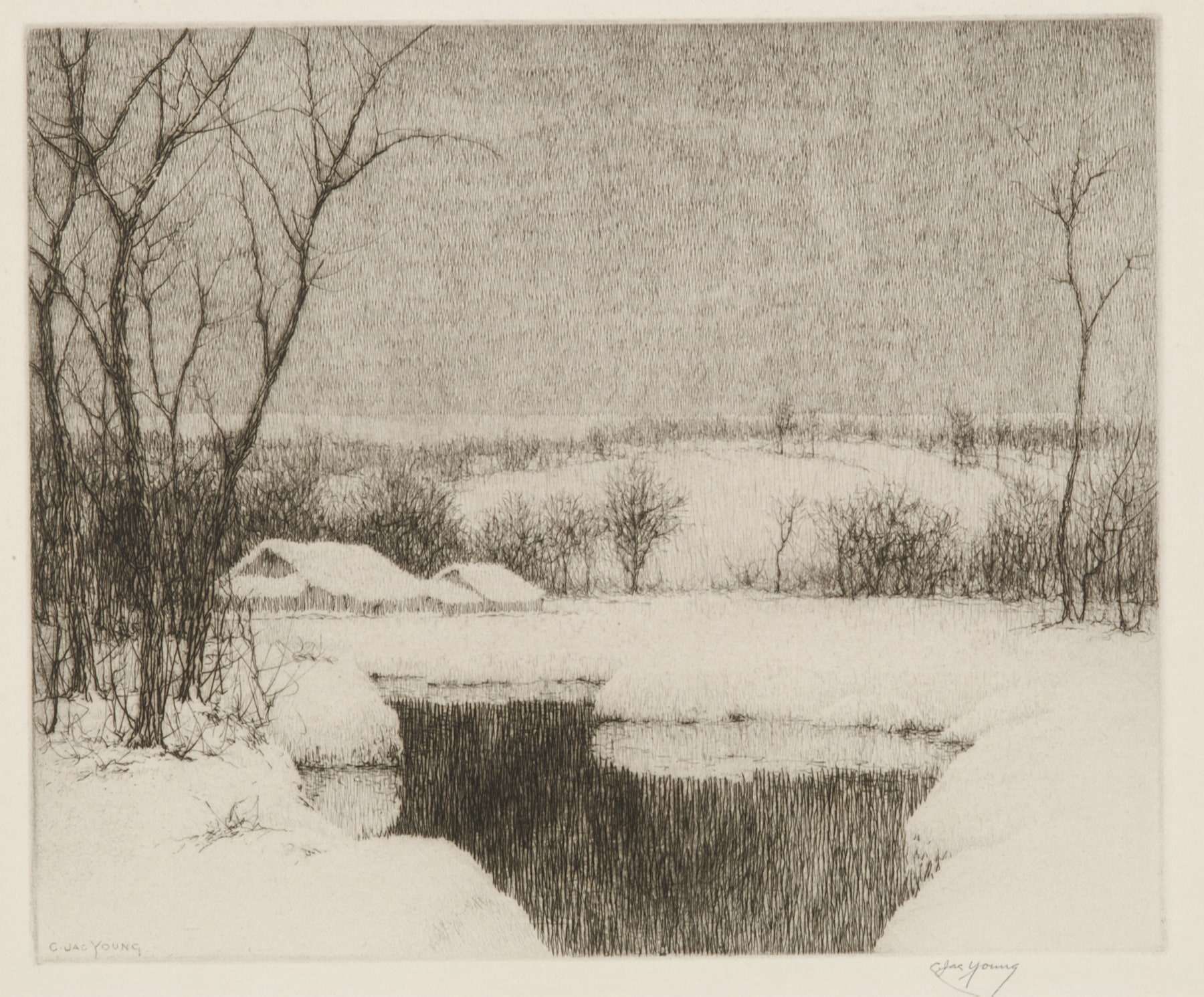 Winter Pond
