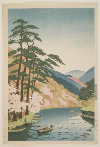 Cherry Blossoms at Arashiyama