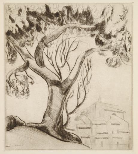 untitled (Mallorcan subject)