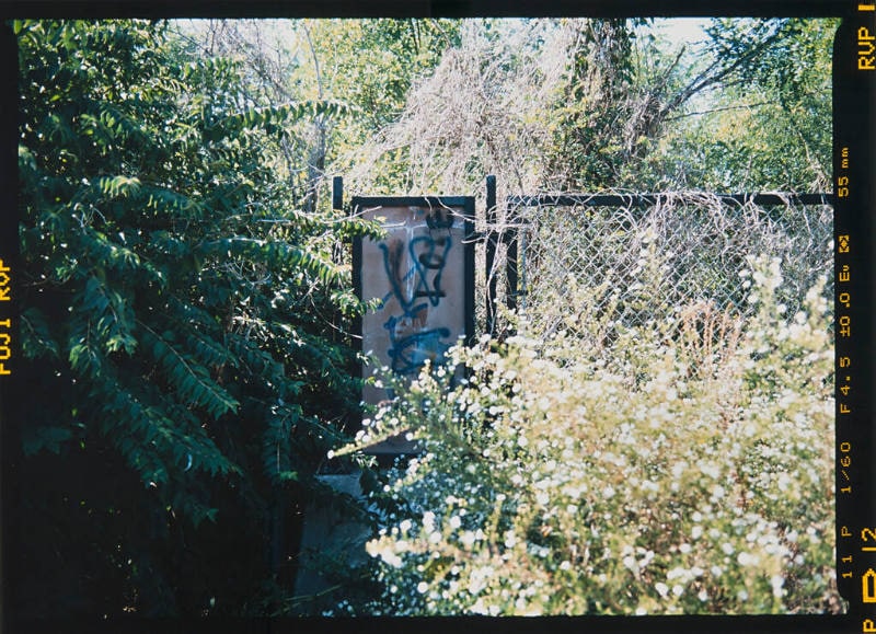 Quivira/Westside 1