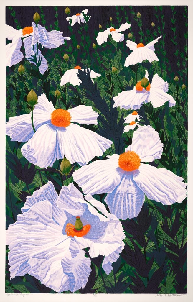 Matilija Poppies