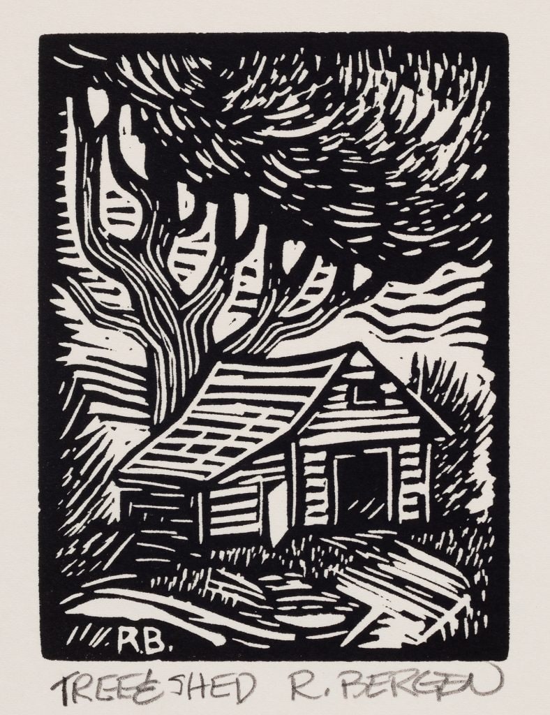 Tree and Shed