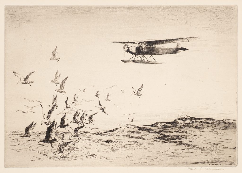 Birds of the Sea