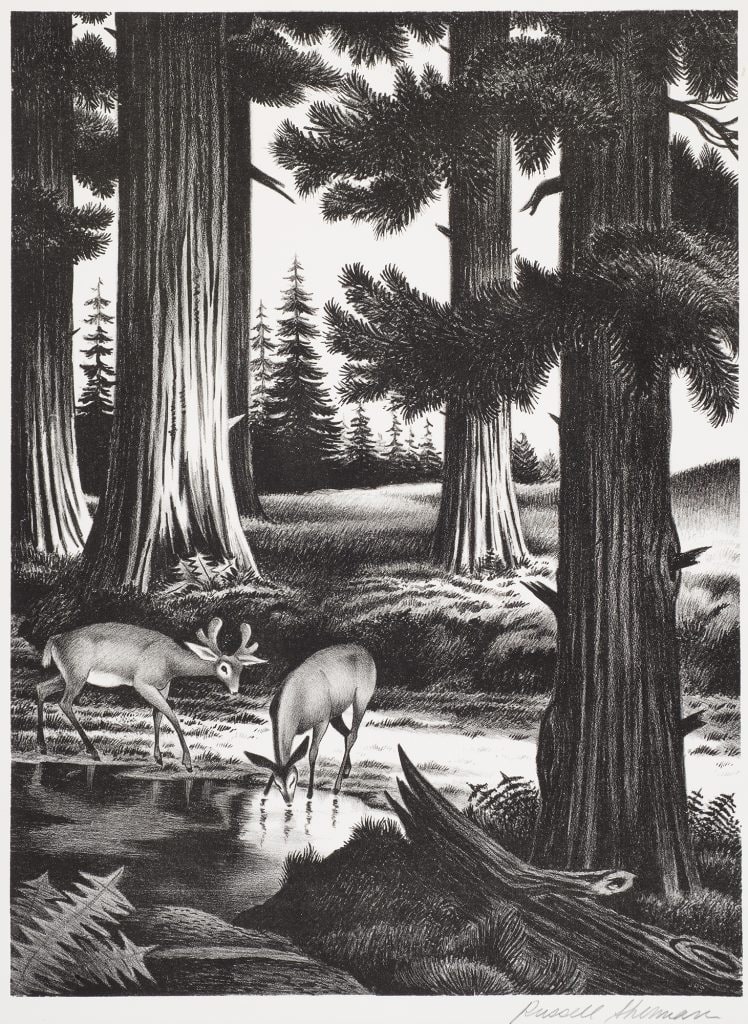 Untitled (Forest Folk)