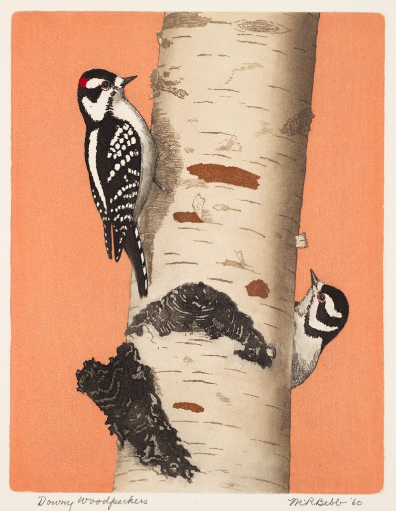 Downy Woodpeckers