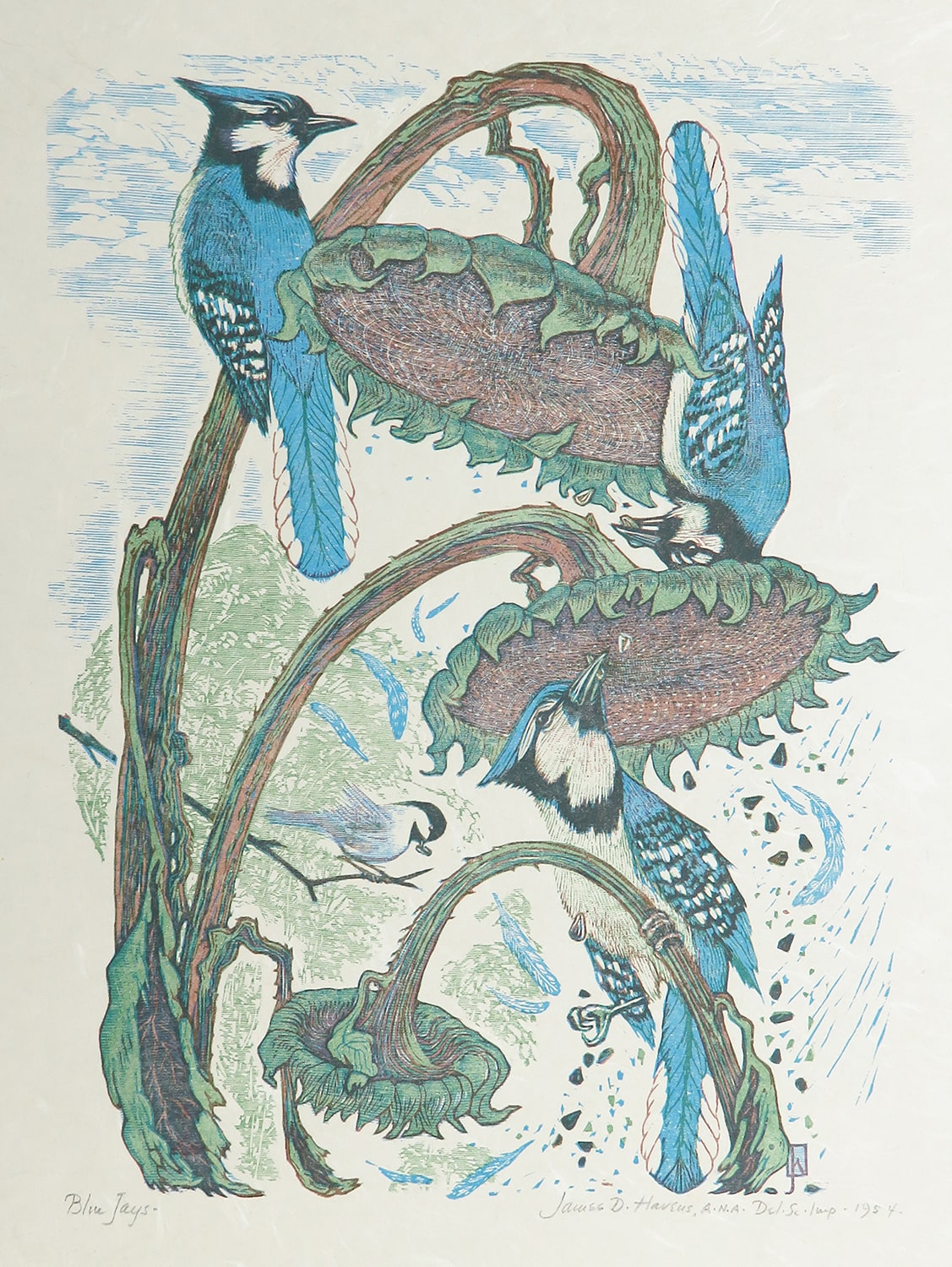 Blue Jays