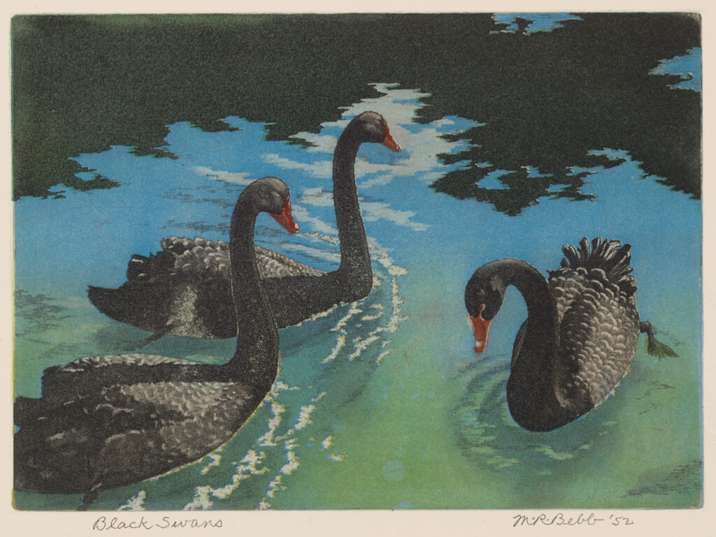 Black Swans
