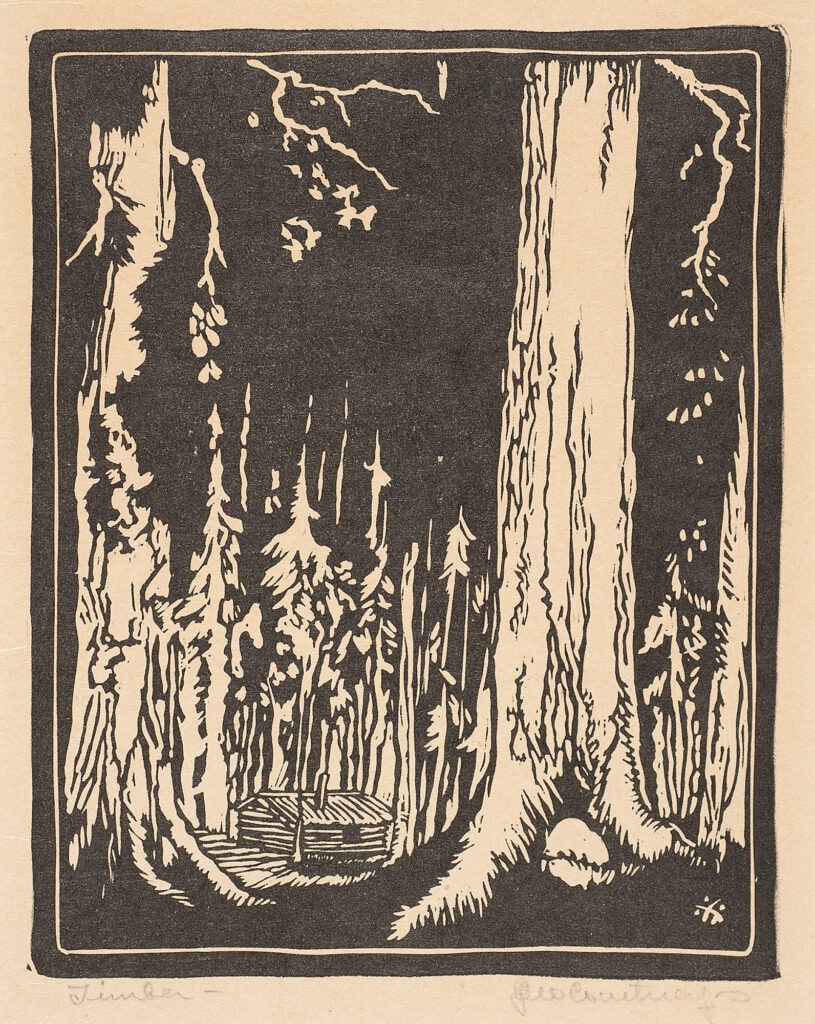 Timber