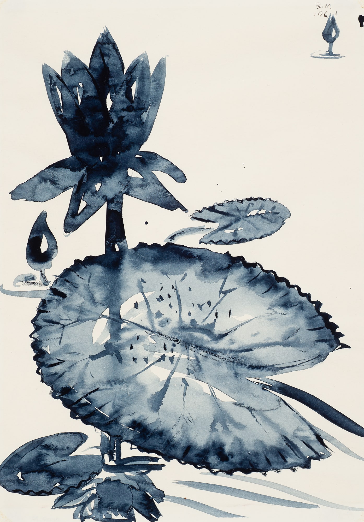 Lily Pad