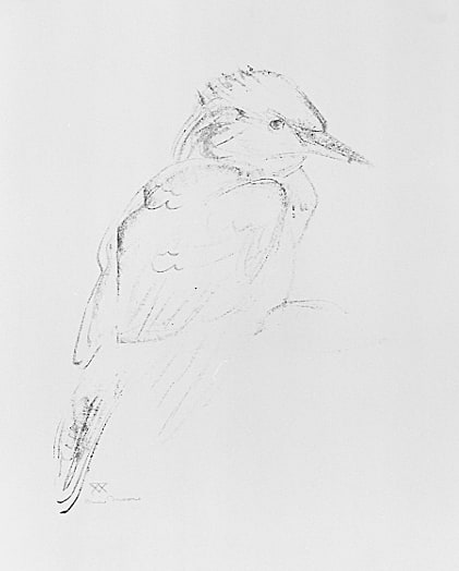 Untitled (Bird, two views)