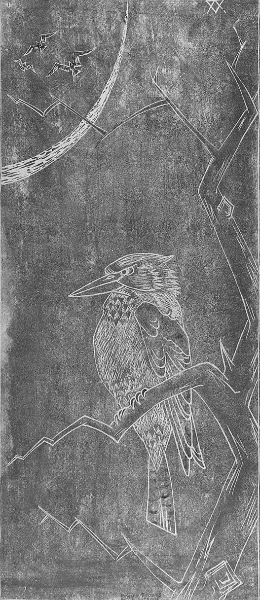 Kookaburra