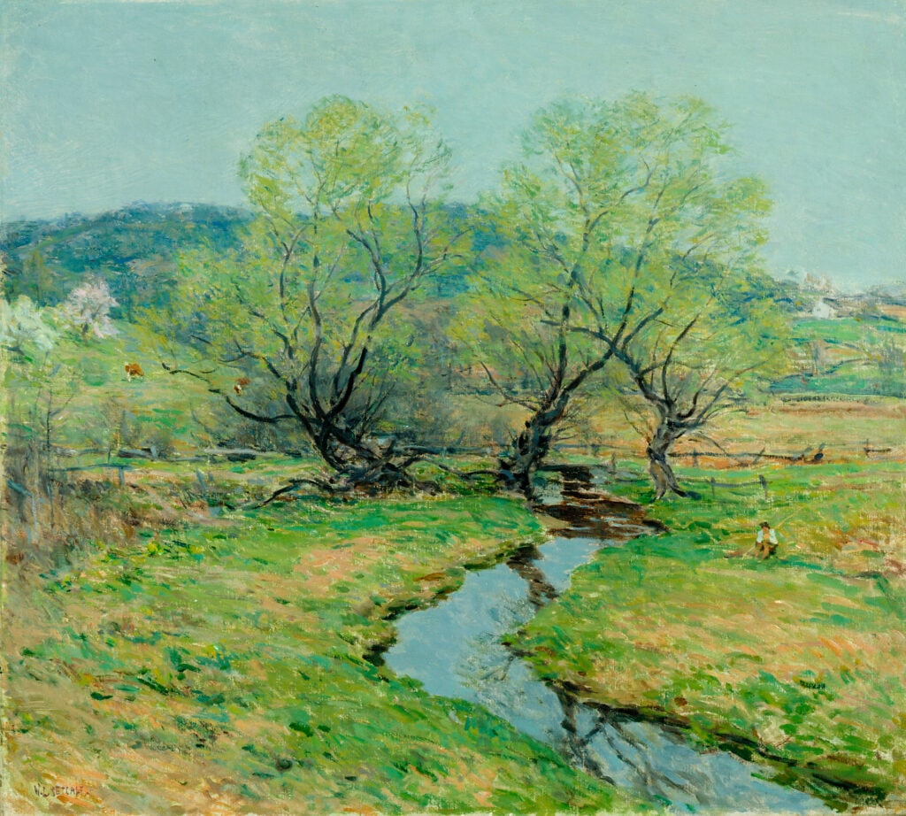 Old Willows in Spring
