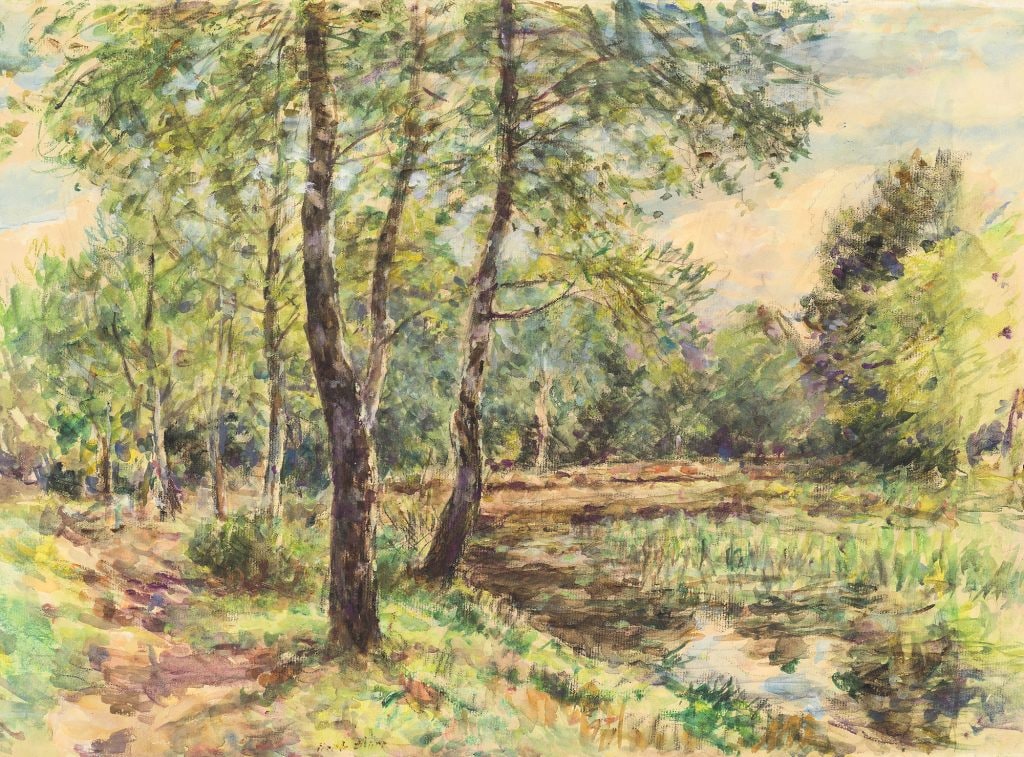 Landscape