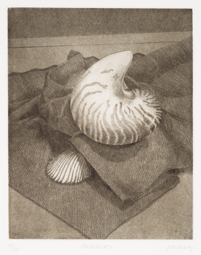 Nautilus #2