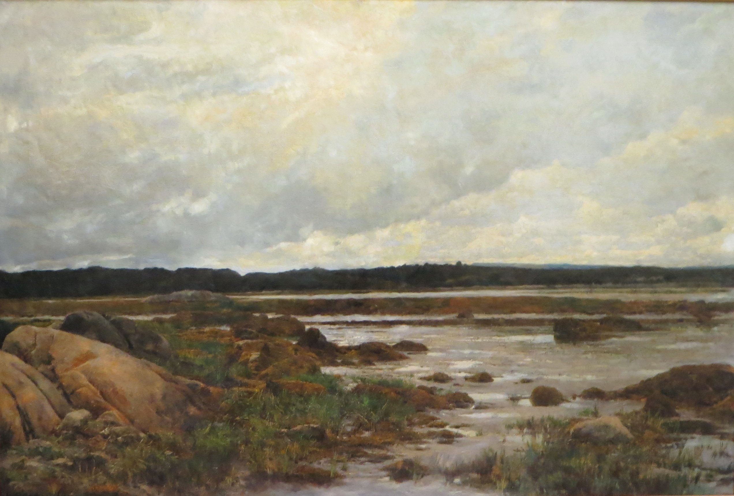 Jersey Marshlands