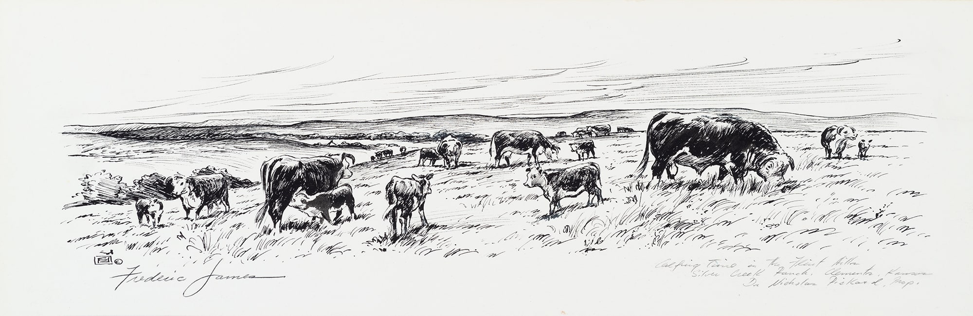 Calfing Time in the Flint Hills, Silver Creek Ranch, Clements, Kansas