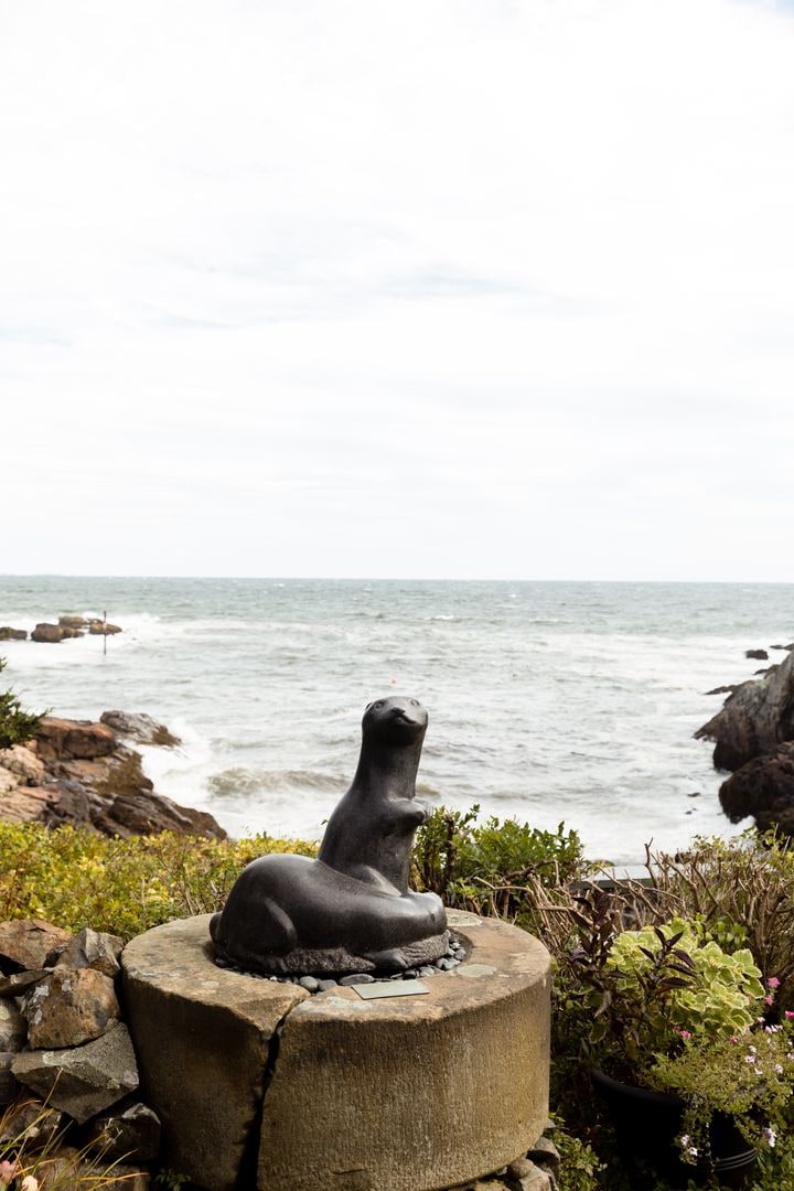 Otters