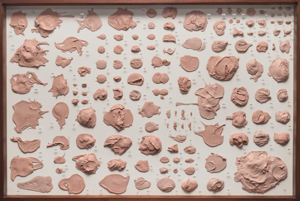 Blob Specimen Case