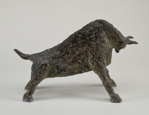 Toro