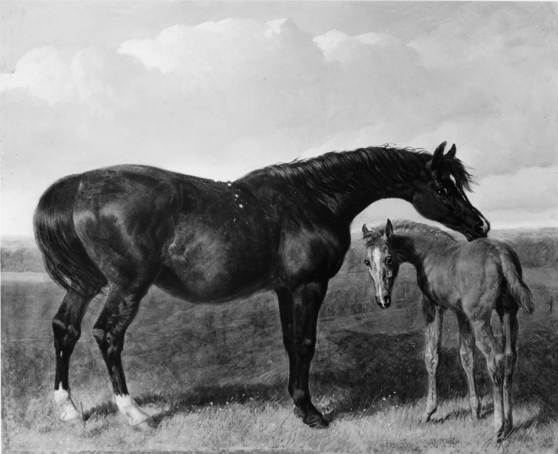 Mare with Foal
