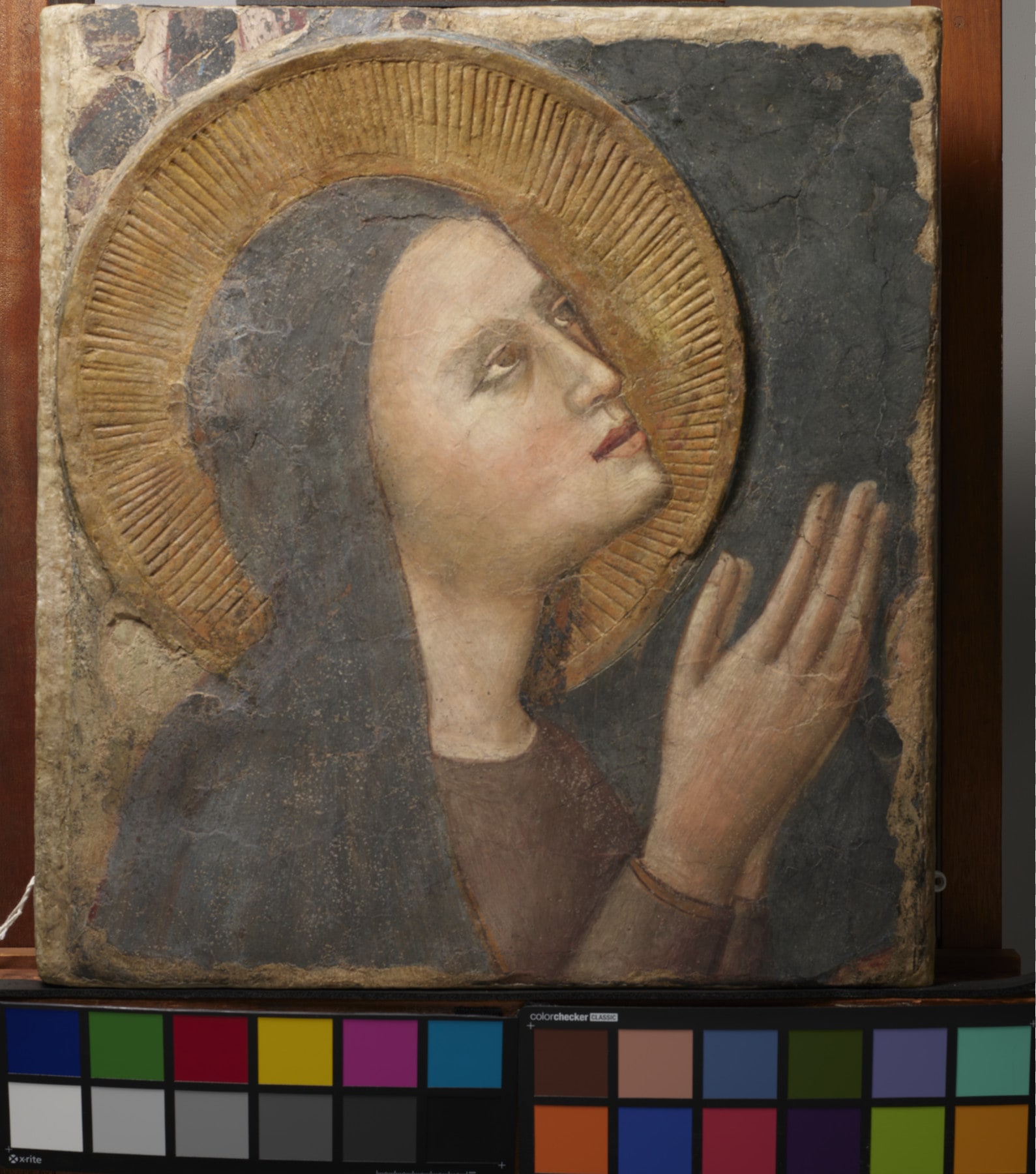 The Virgin in Adoration