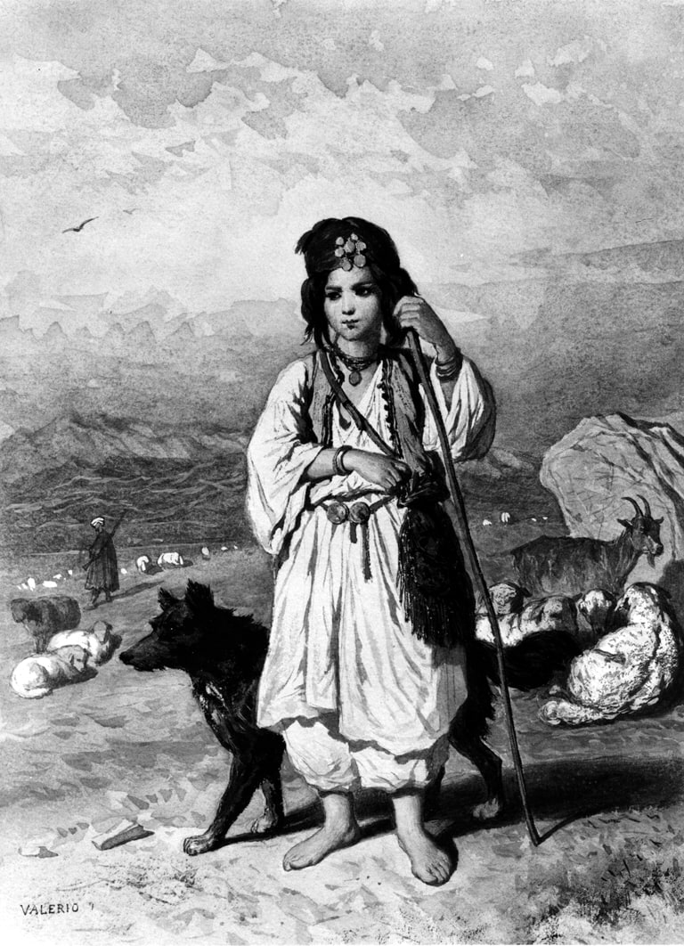 Little Shepherdess and Flocks