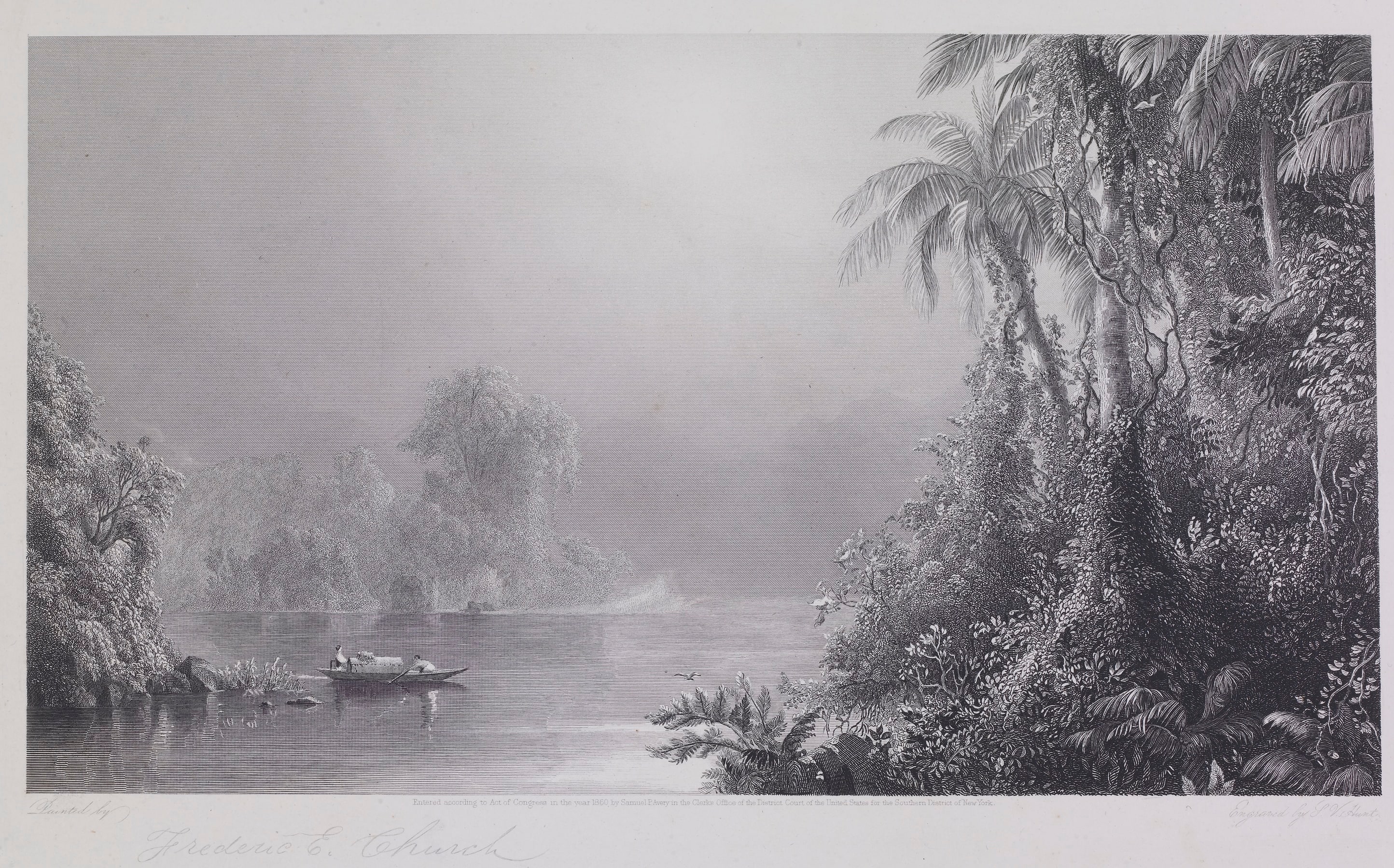 Morning in the Tropics