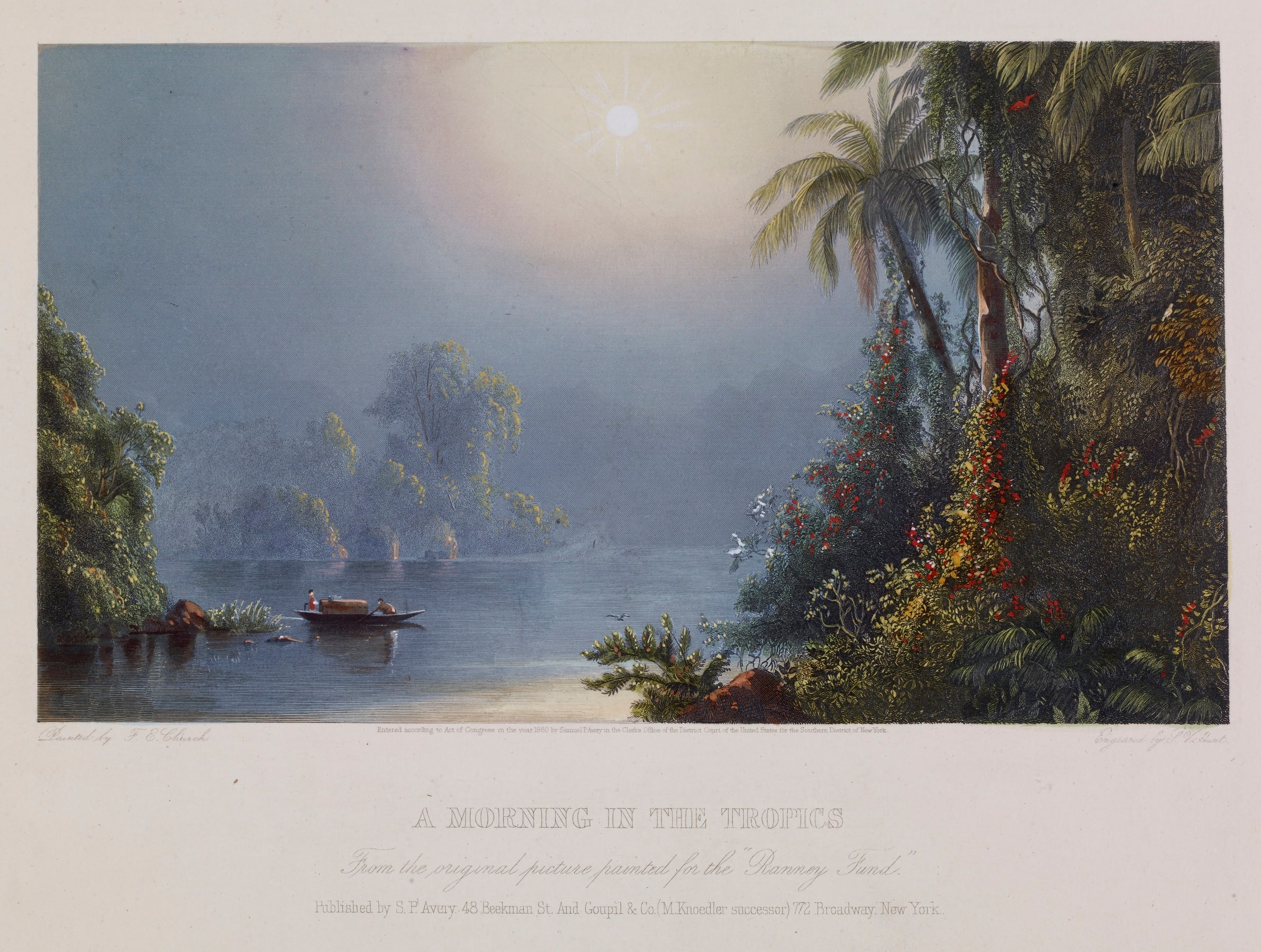 Morning in the Tropics