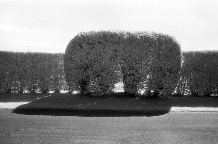 Hedge and Shadow, East Hampton, New York