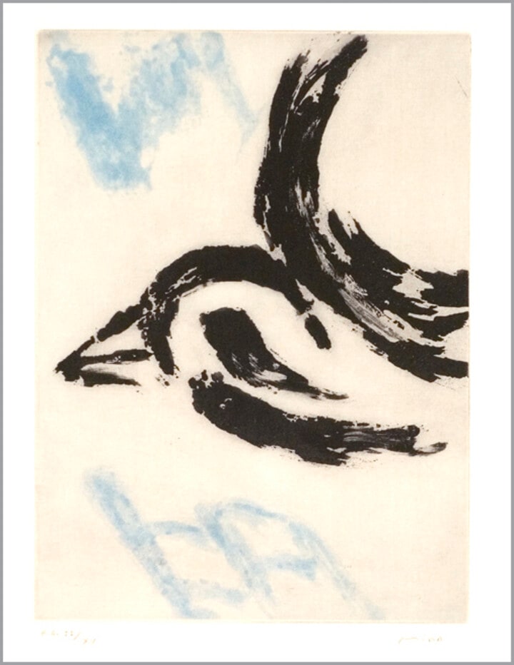 Pajaro, Teja, y Pedazo del Cielo