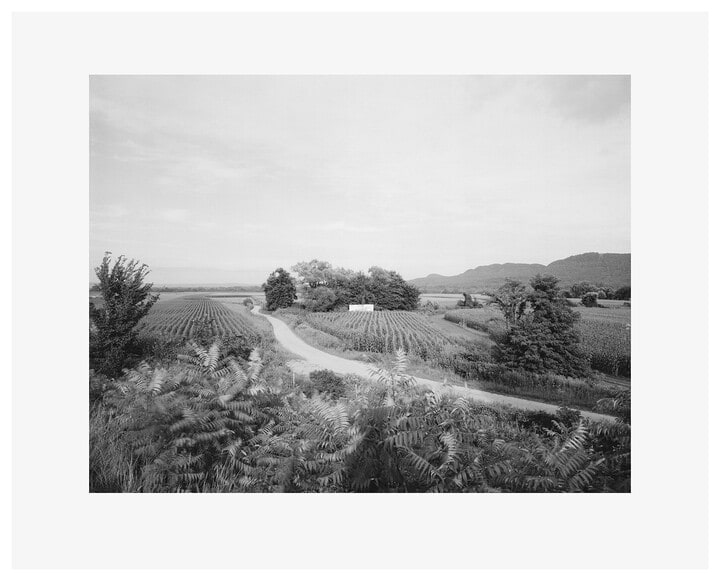 The Meadows from Rt. 91 from the series The Meadows