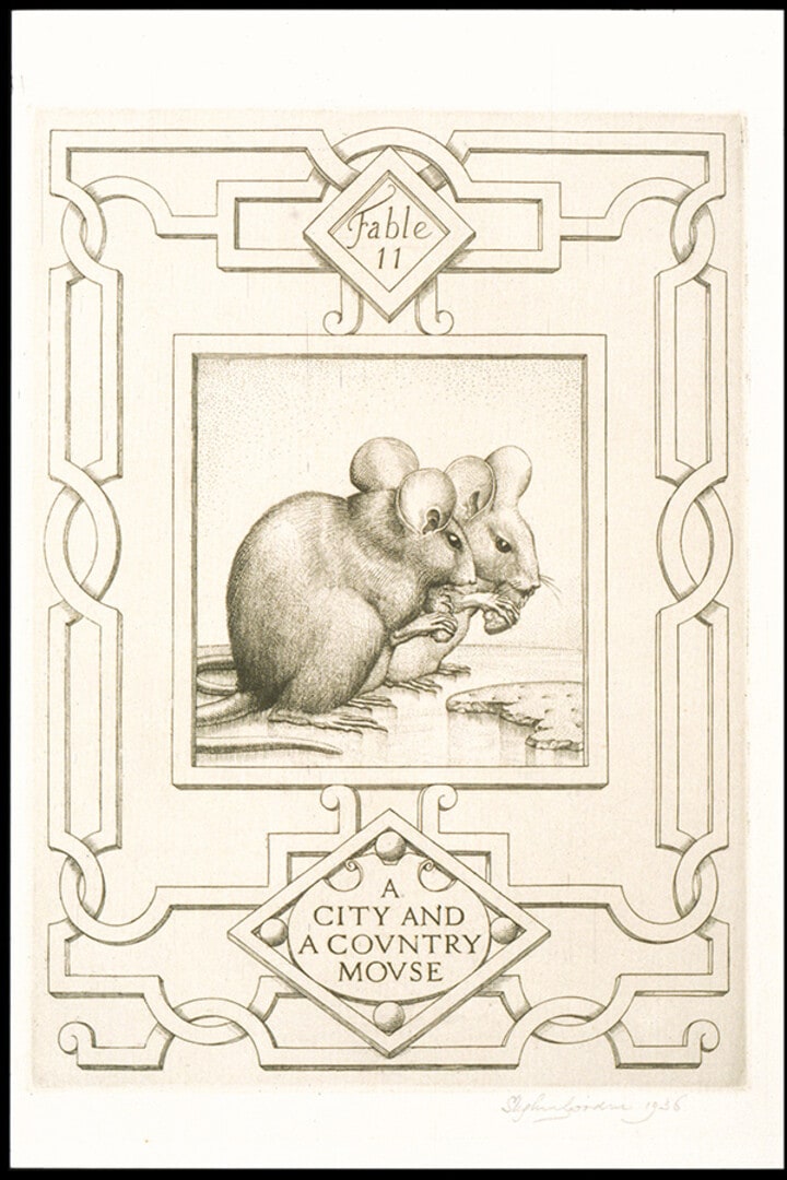 A City and a Country Mouse