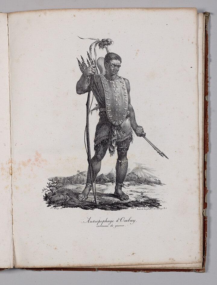 Antropophage d'Ombay, costume de guerre (Cannibal from Ombay (Alor islands indonesia ) in his battle gear)