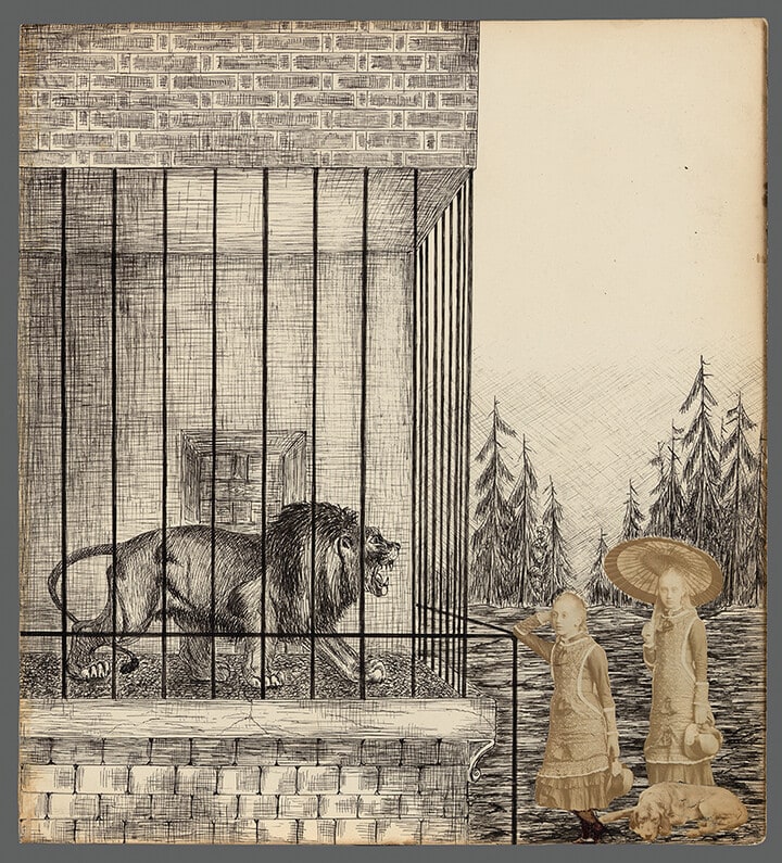 At the Lion’s Cage