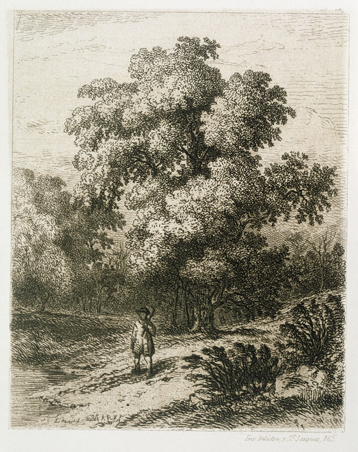 Boy in Woods