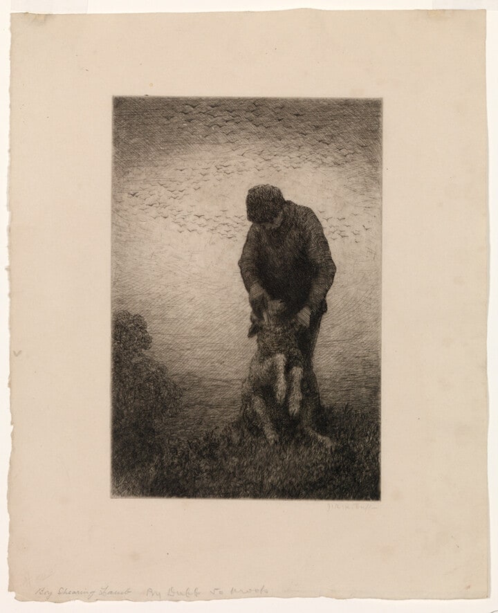 Boy Shearing Lamb