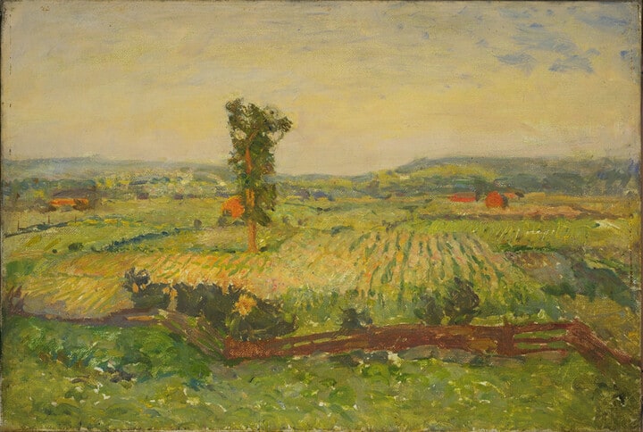 Cornfield near Northampton