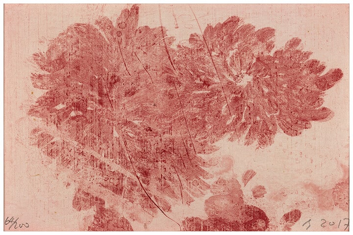 Dream of the Red Chamber