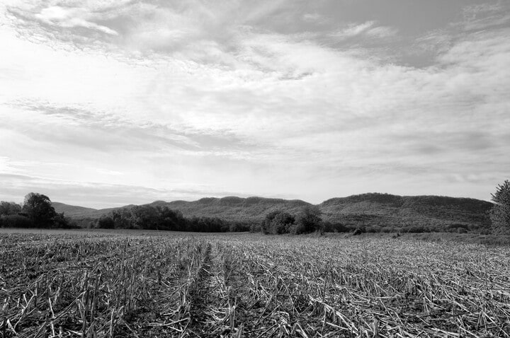 Clouds, Mountains, Corn, The Meadows