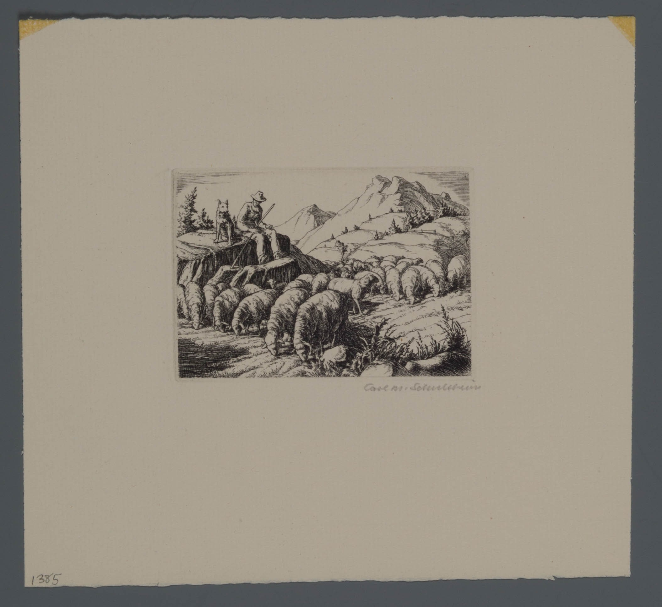 The Shepherd