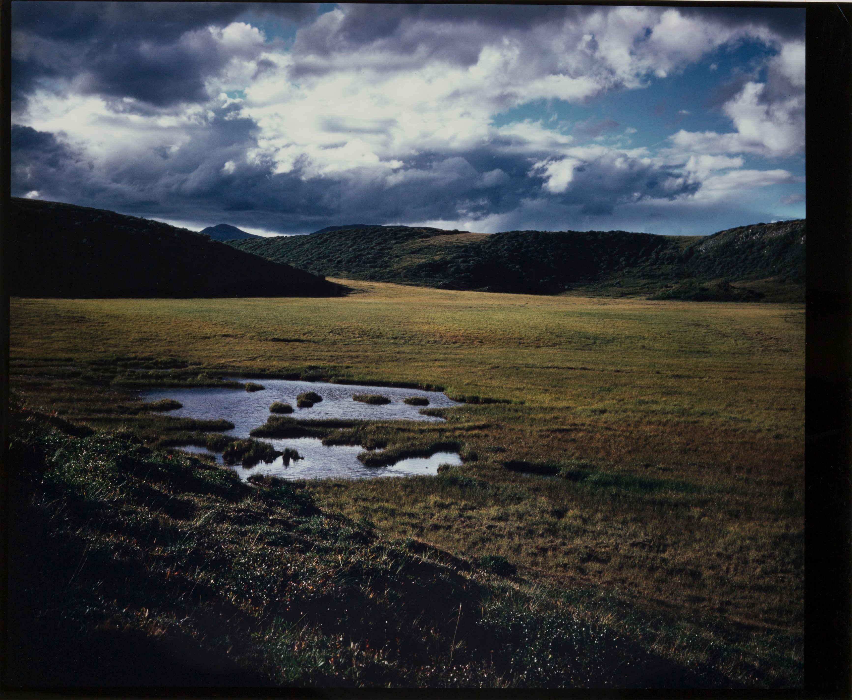 Old Squaw #2, Yukon