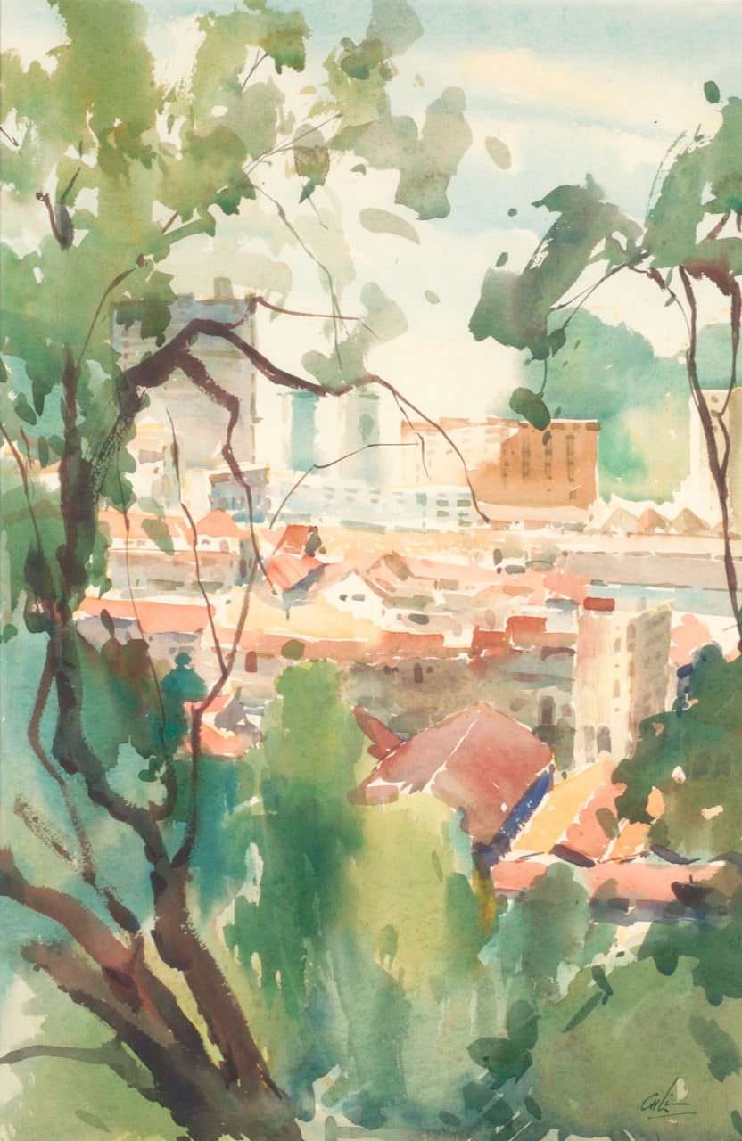 View from Pearl's Hill