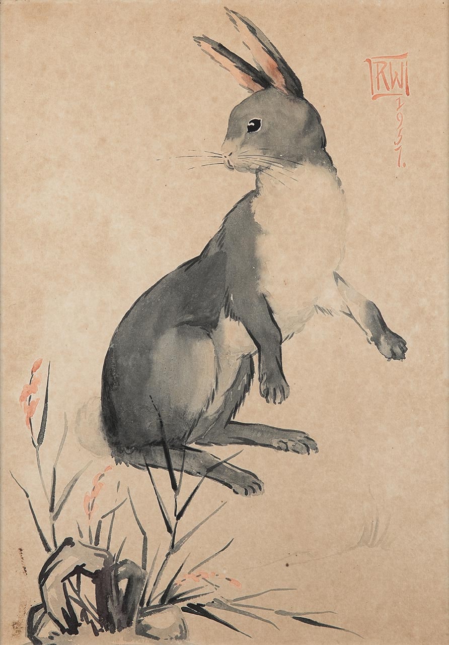 Rabbit