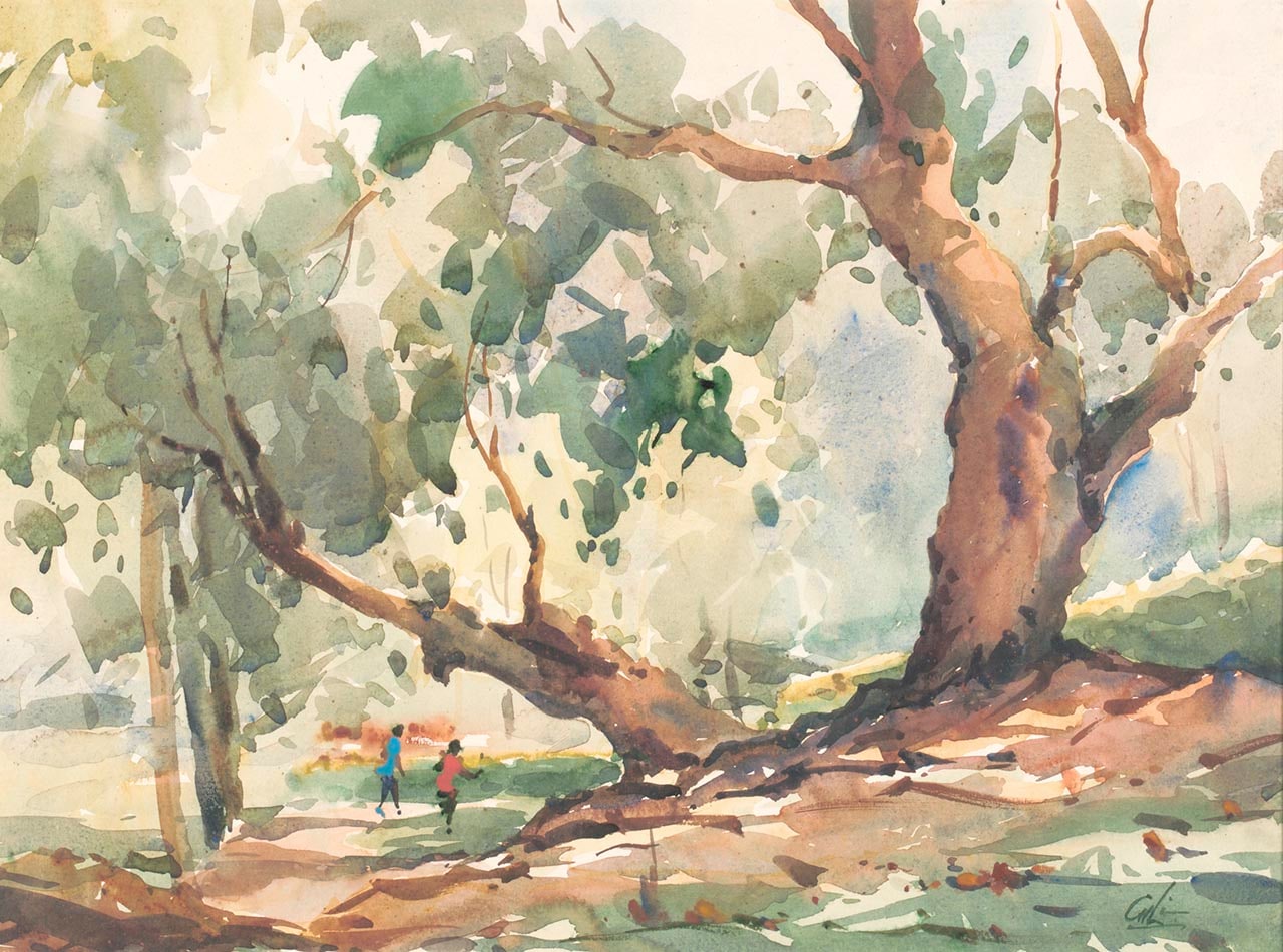 Botanic Gardens