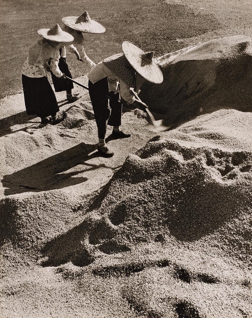 Digging