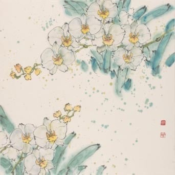 Orchid