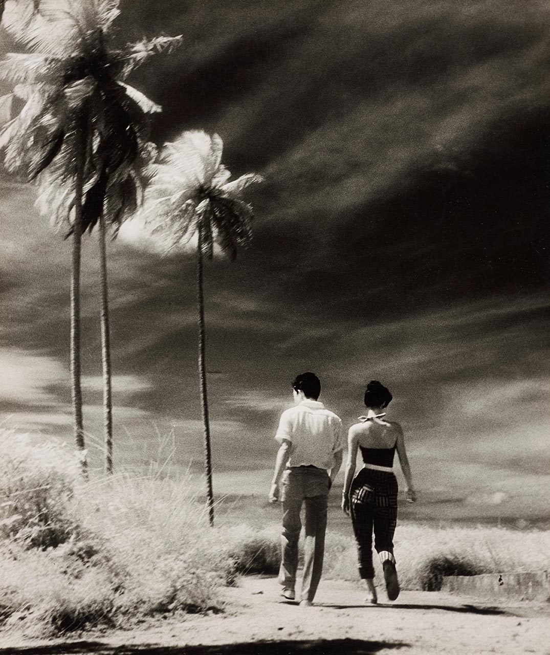 Tropical Love